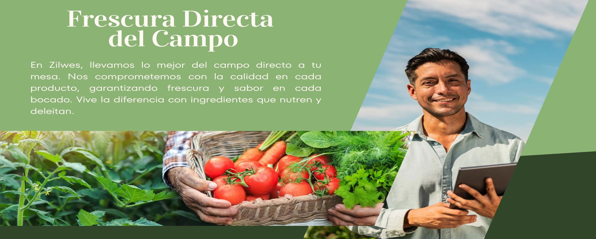 Imagen 3