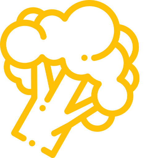 Icono de Brocoli